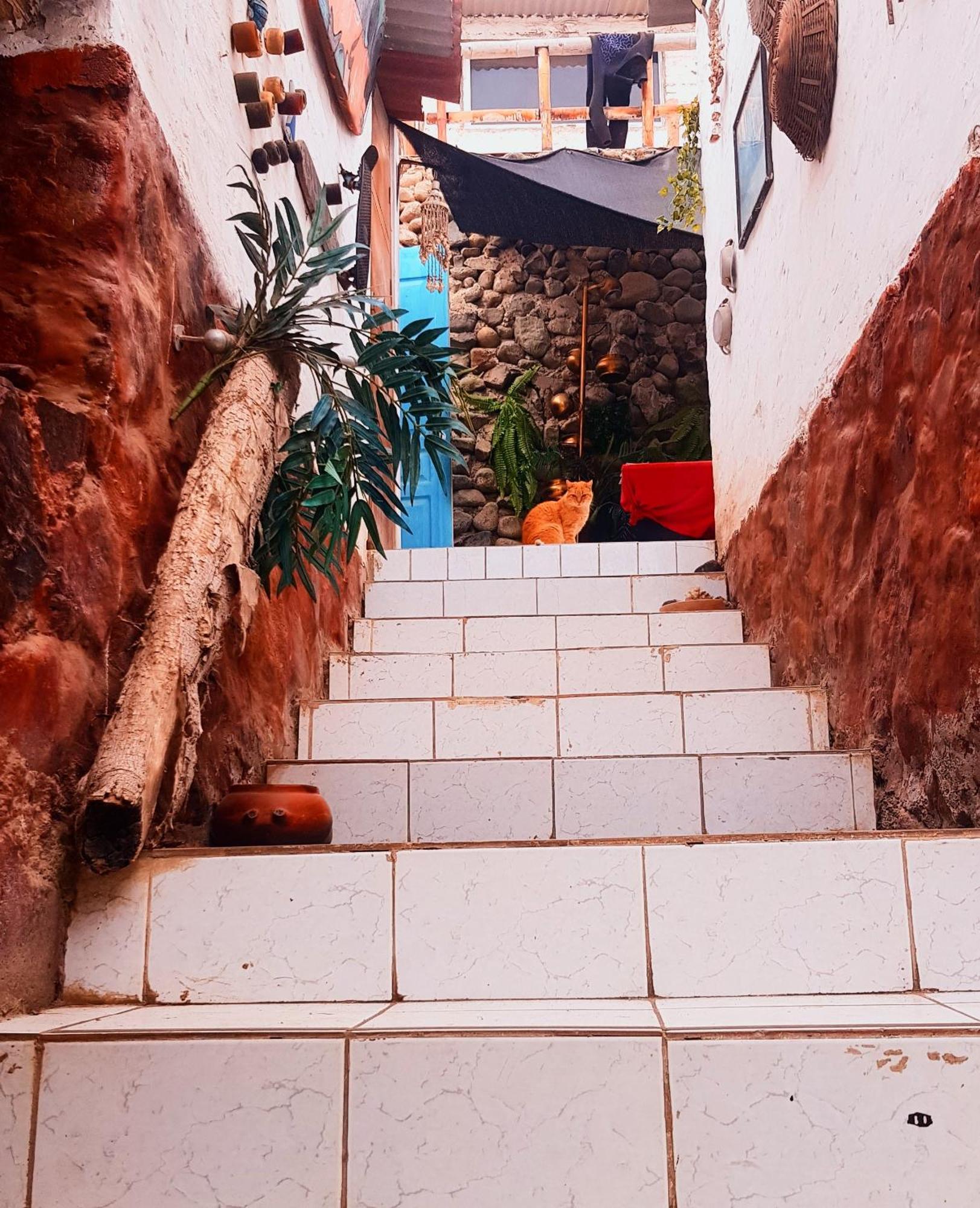 Huanchaco Surf Camp Daire Dış mekan fotoğraf